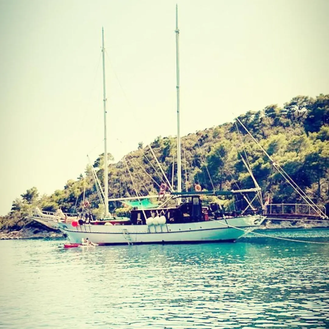 Πλωτό κατάλυμα Charming Cabin On Msy Alisa Week Long Island Hopping Adventure Through Dalmatian Coastal Gems Σπλιτ Κροατία
